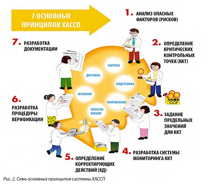 Хассп в овощном производстве