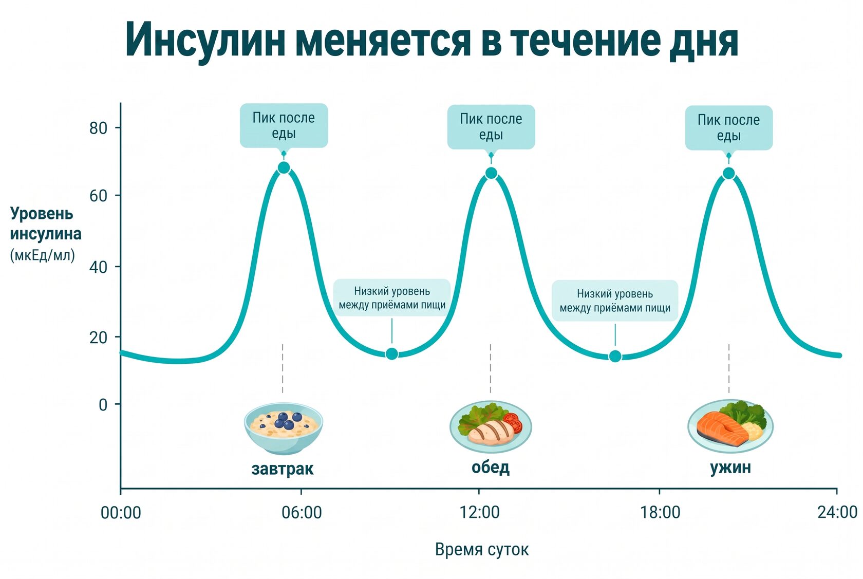 Колебания инсулина в течение дня