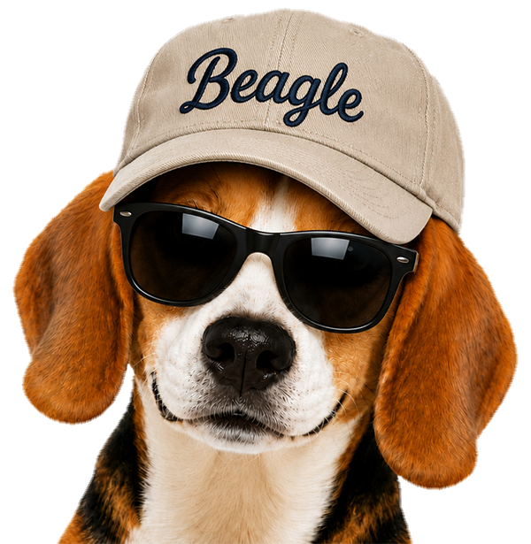 Beagle — цифровой помощник ветклиники