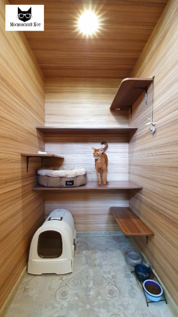 Отель для кошек \"Московский кот\"