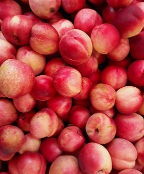 Каталог питомника Долина роз