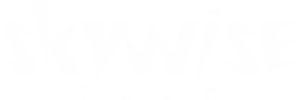 SKYWISE team