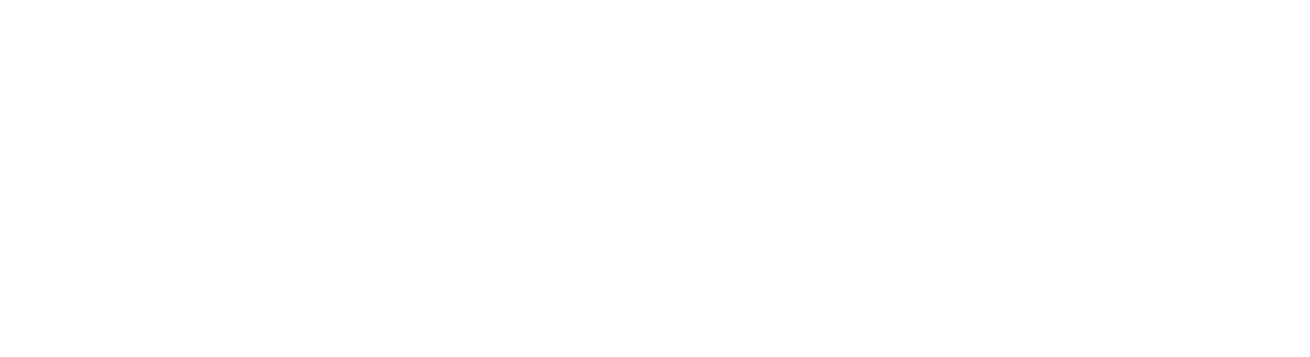 Эксклюзивный дистрибьютор в РФ