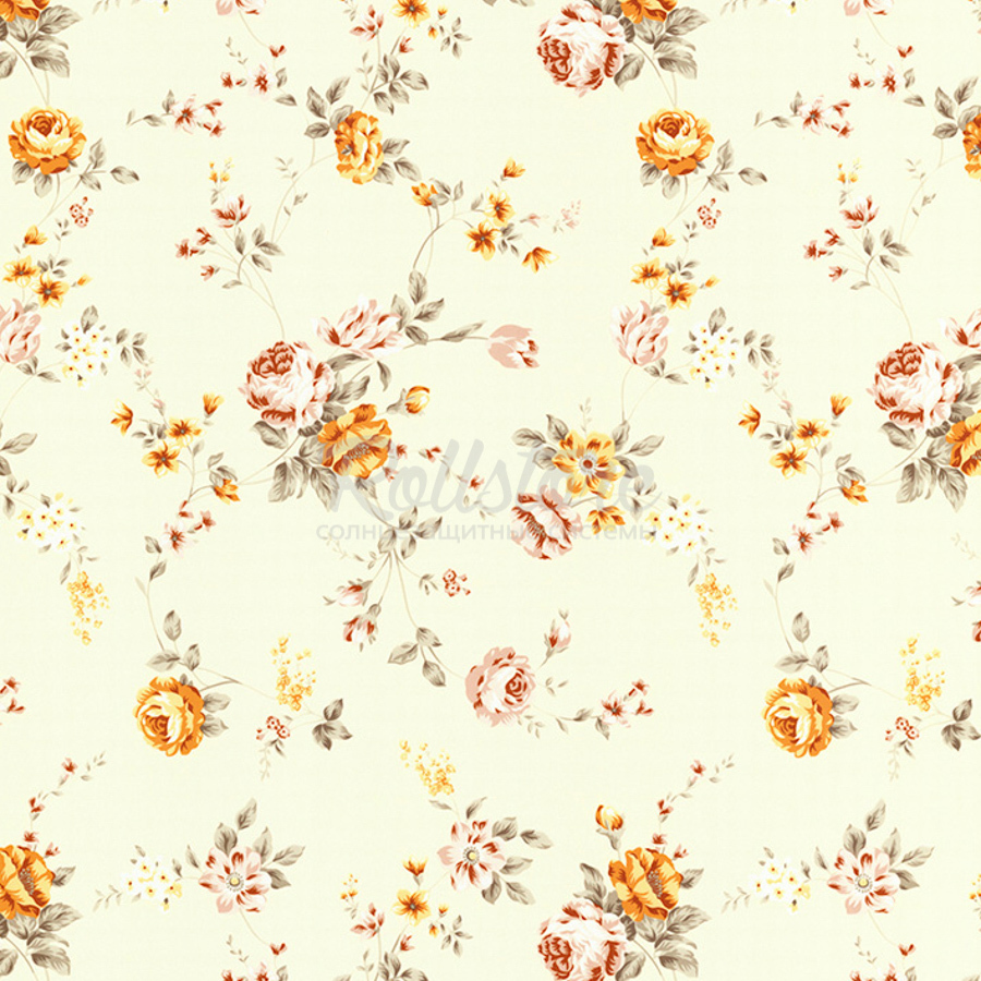 Анже апельсин