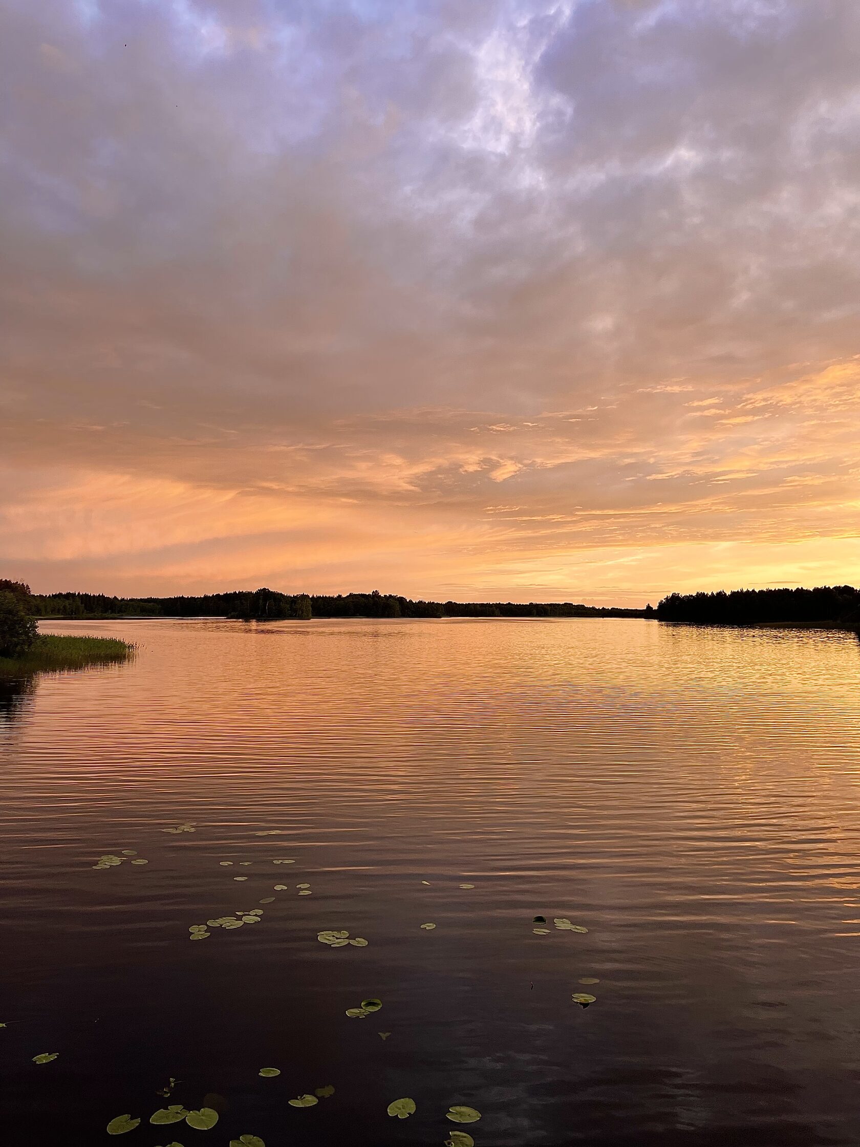 Панорамные дома Chuchemlya eco village — Чучемля, Новгородская область -  официальный сайт