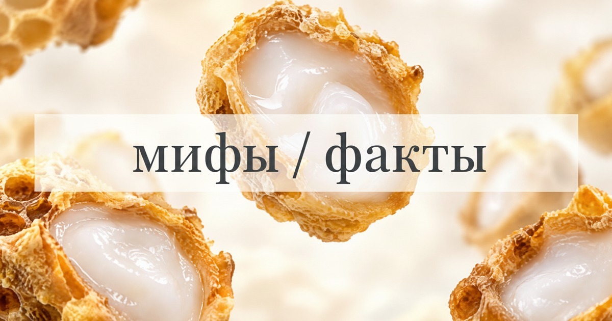 Соты с маточниками, чашка Петри с маточным молочком и лупа