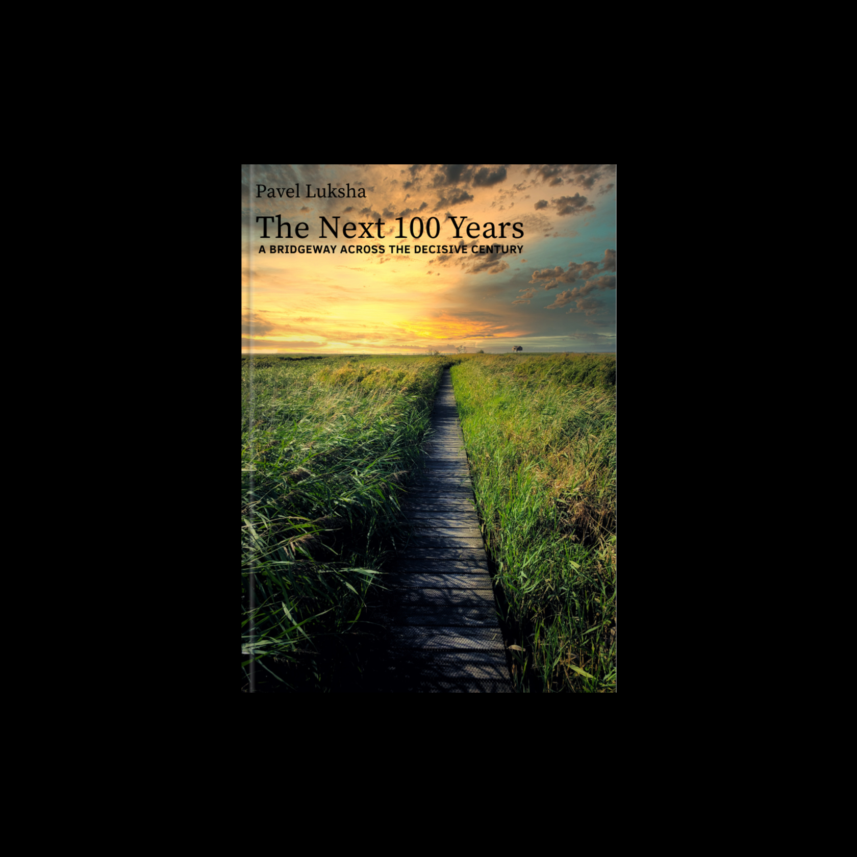 The next 100 years a bridgeway across the decisive century. Pavel Luksha