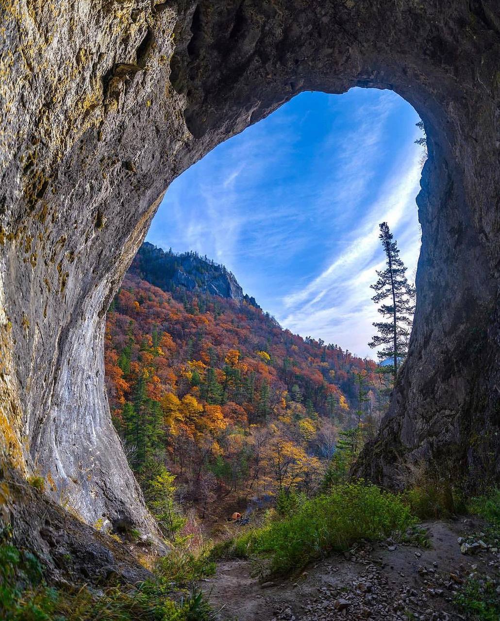 Природная арка в скале с видом на лес