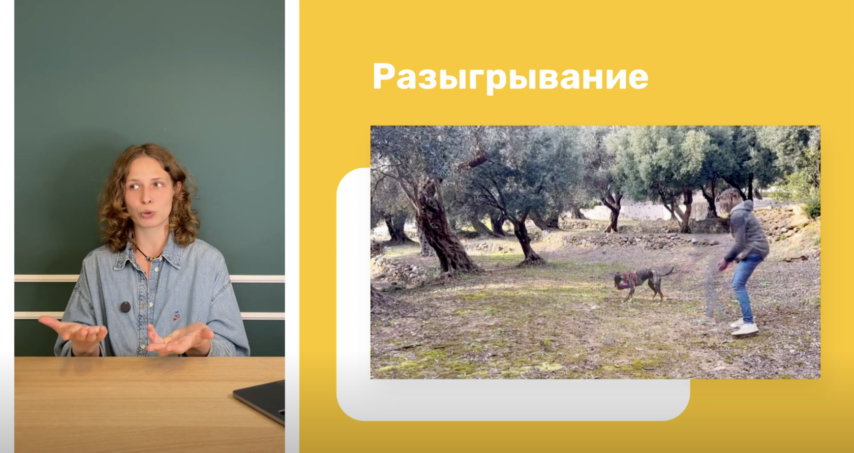 Мотивация: как стать интересным для собаки — лекция Вероники Ларюшкиной