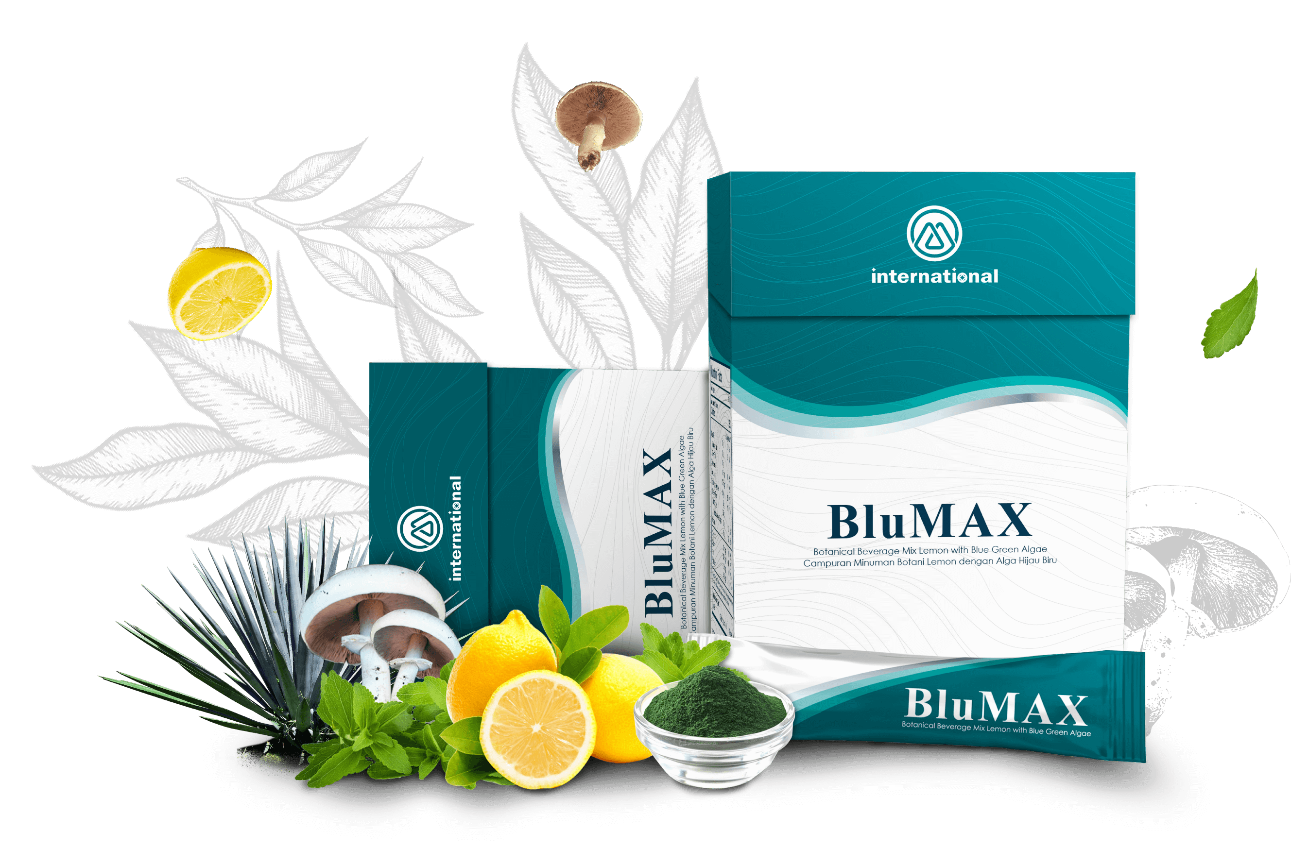 Blu max. Блюмакс м Интернейшнл. М Интернешнл продукция. Blumax m International изображение. Blumax International для чего.