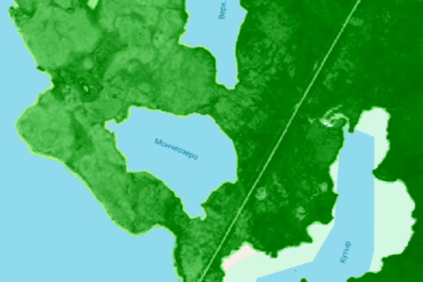 Динамика растительности NDVI