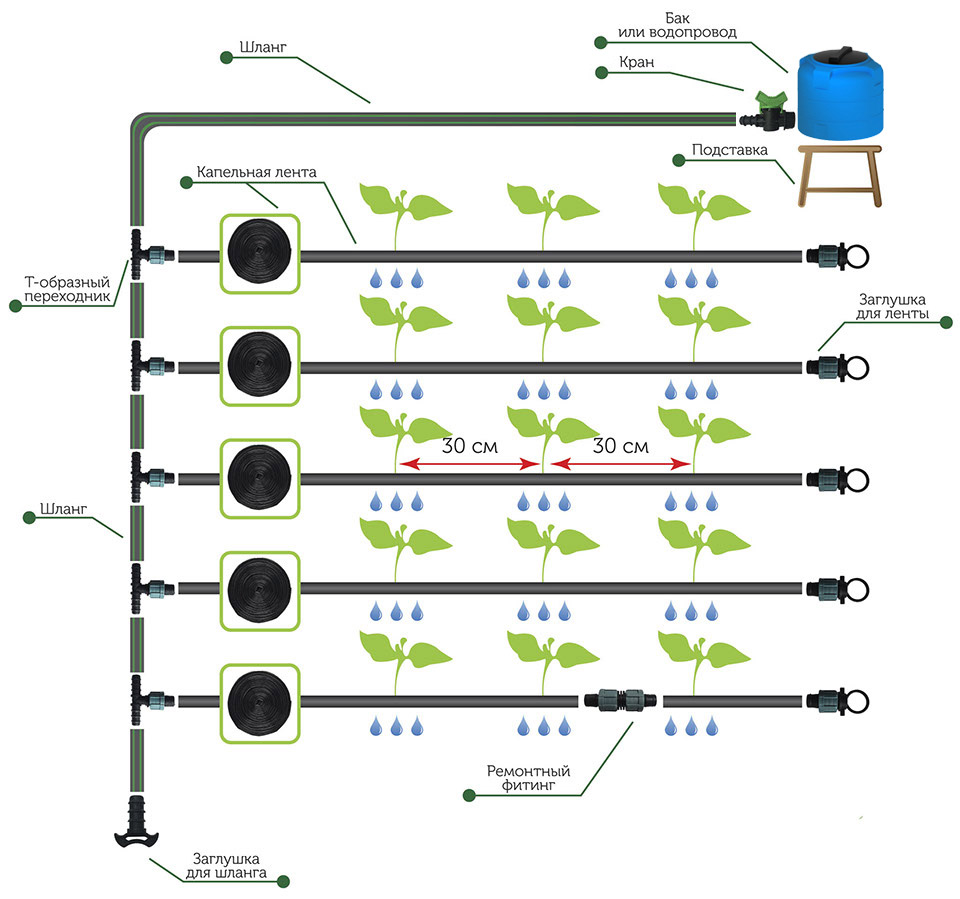 Схема капельного полива
