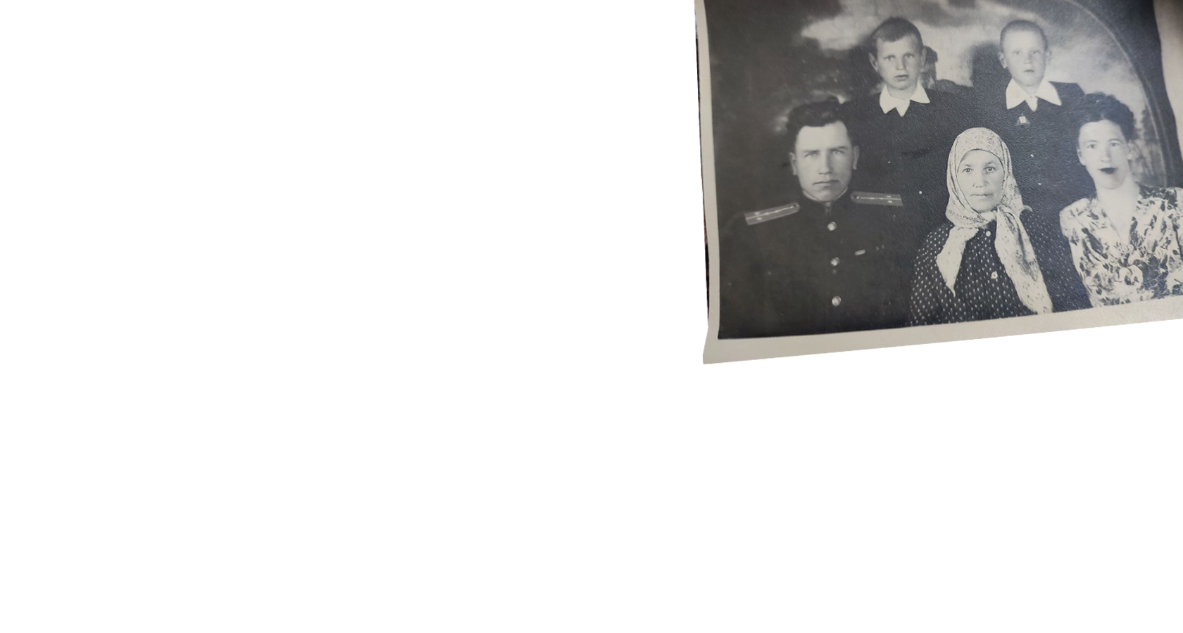 Nasonova.su — генеалогический квест