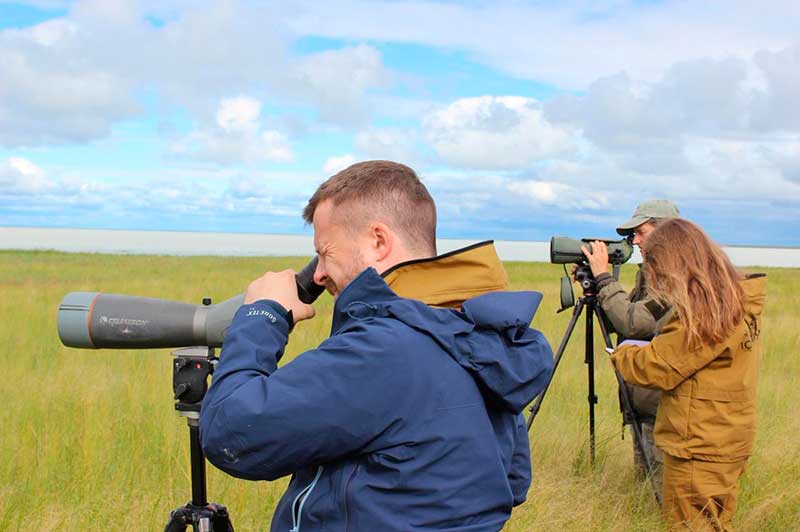 Наблюдение волонтёров за птицами в Даурском заповеднике.