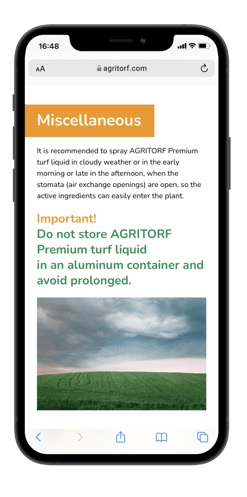 Студия веб-дизайна Шеиной Александры. Разработка сайта на тильде. Сделать сайт на тильде. Заказать сайт на тильде.