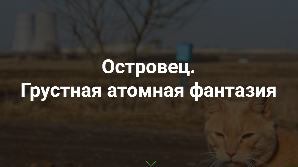 Image/photo