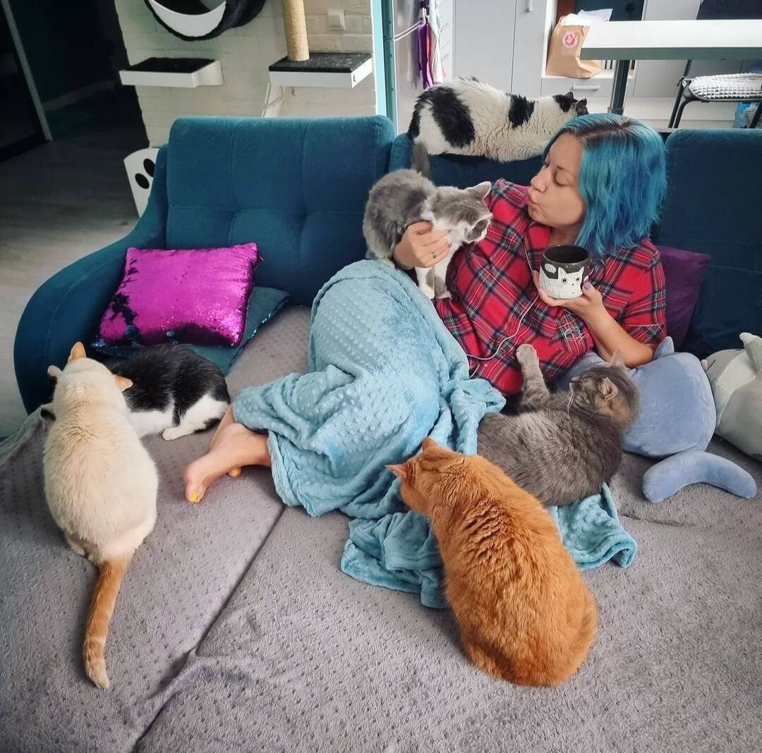 Стрельба, панк-рок, кошачий приют и сноуборд. Хобби руководителей digital-агентств