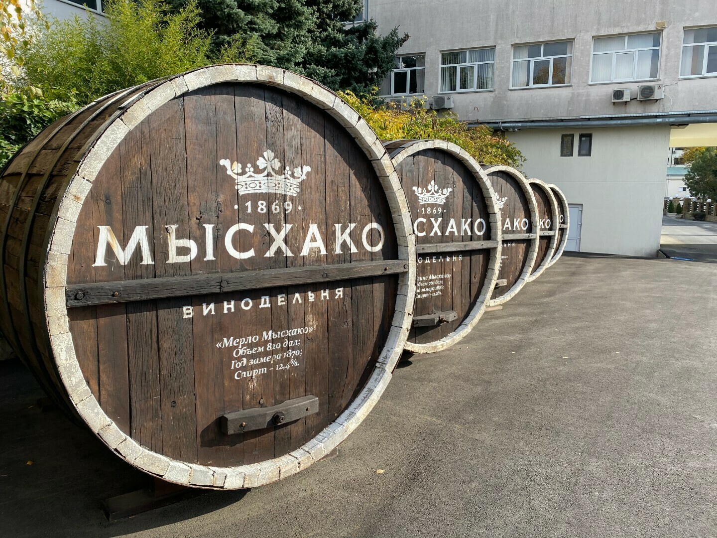 Мысхако винодельня фото