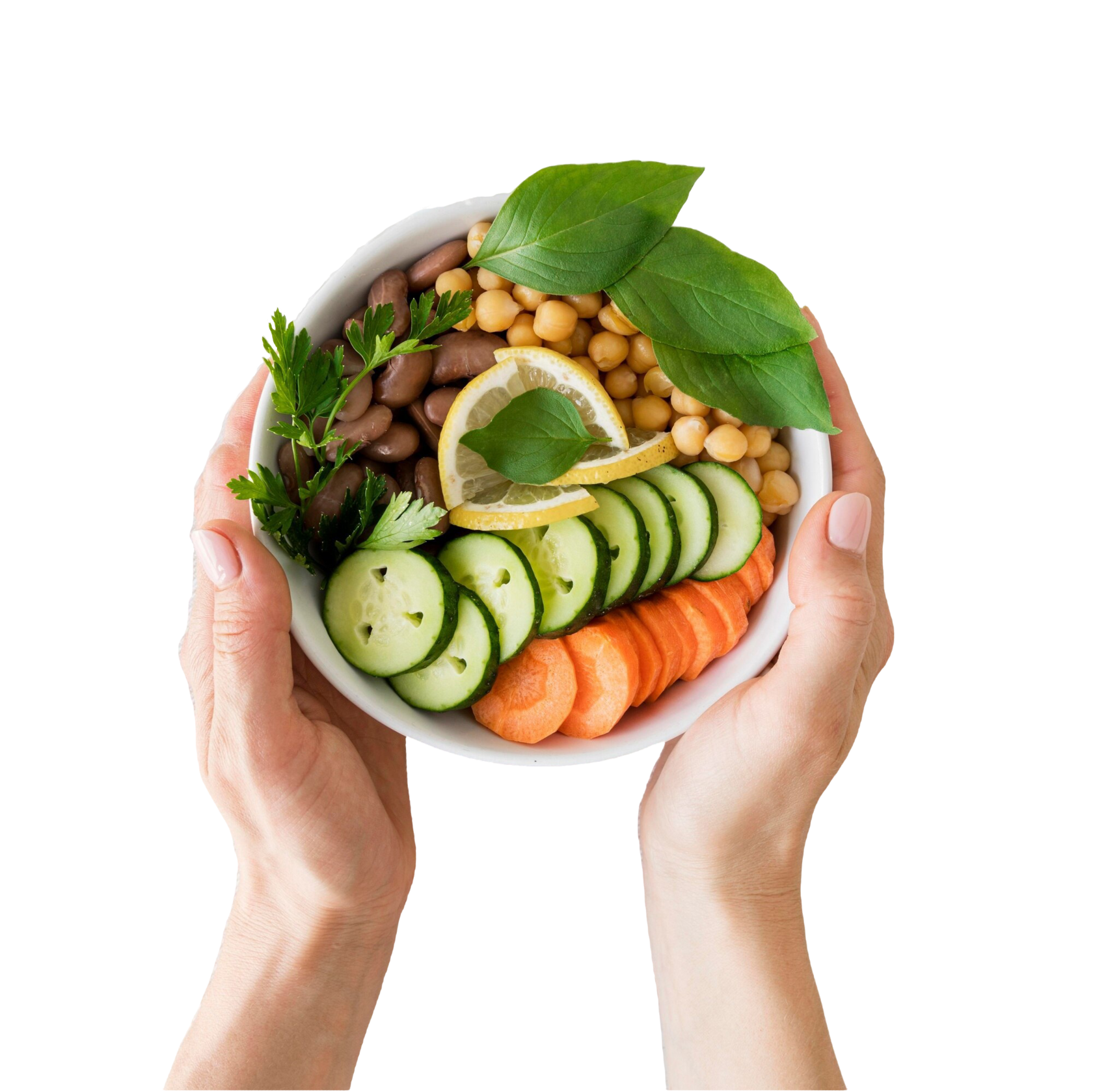 Тарелка с правильным питанием