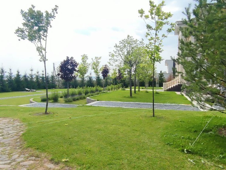 Общий вид на участок с деревьями. работа от Мособлсад