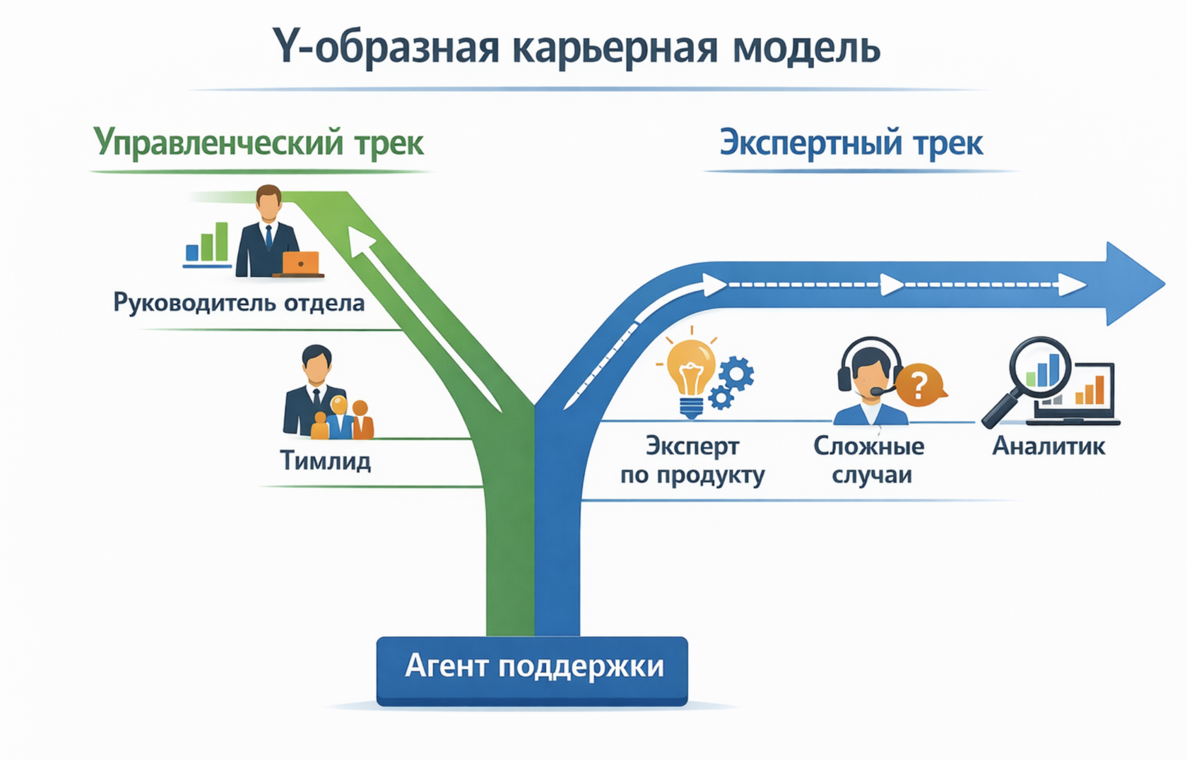 «Y-образная» карьерная модель