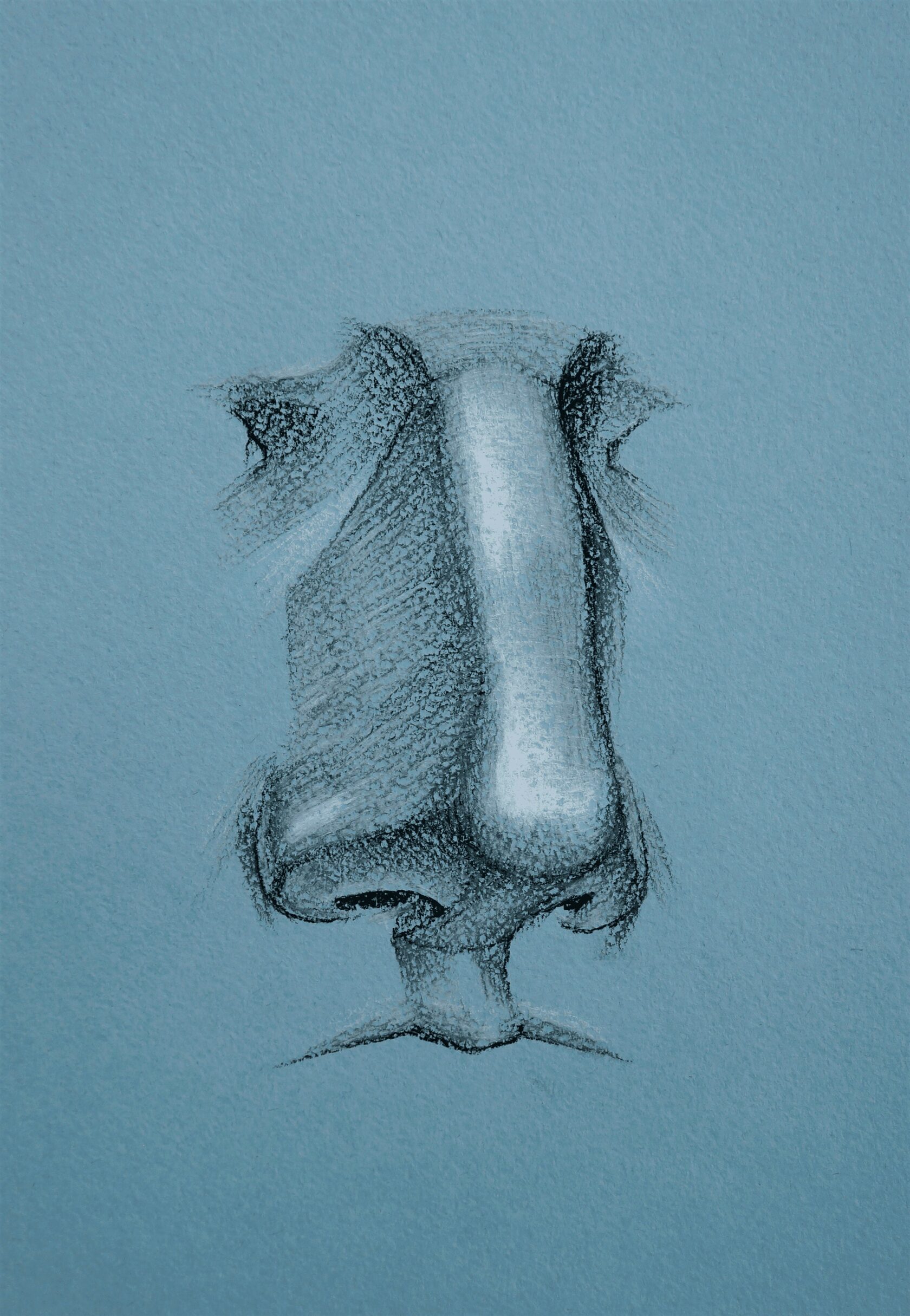 Создание основных очертаний носа