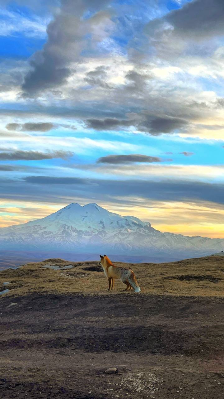 Плато Бермамыт туристический поход