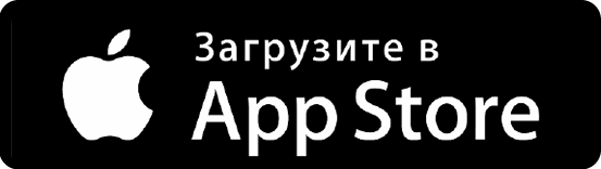 Скачайте приложение Imredi Audit PRO для iPhone