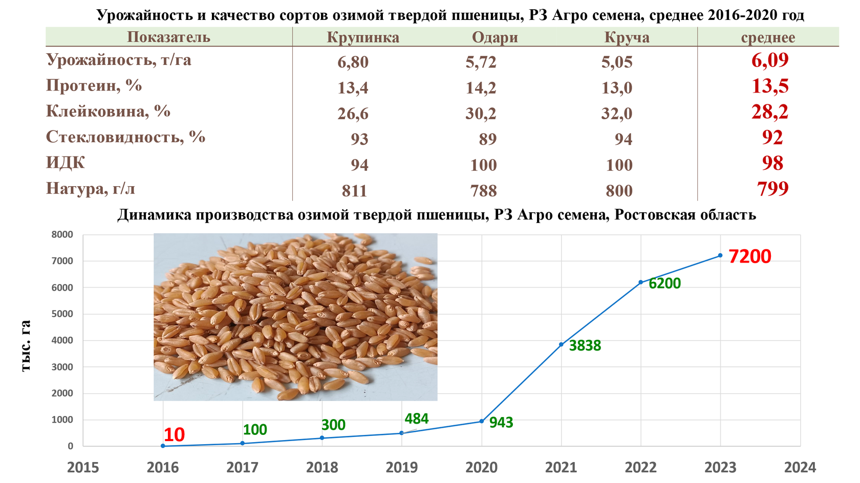 От адаптации к новым горизонтам