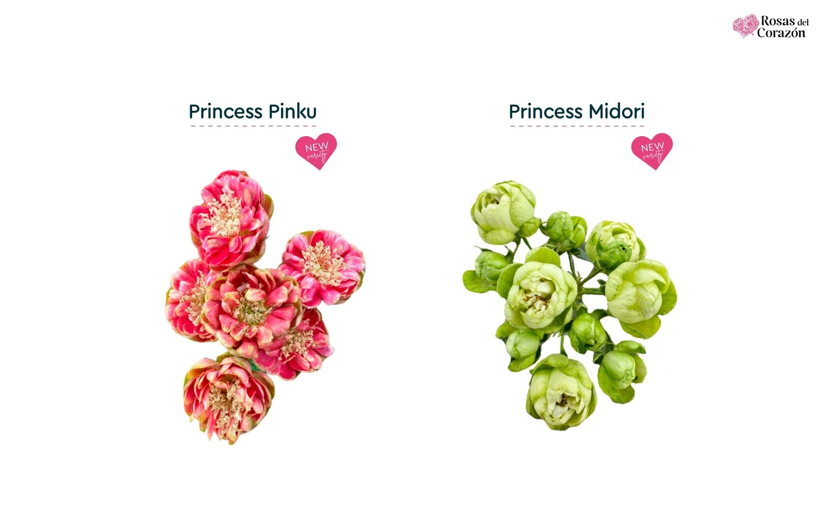Princess Pinku, Princess Midori