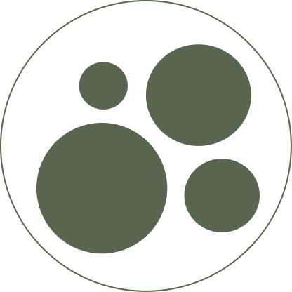 website icon