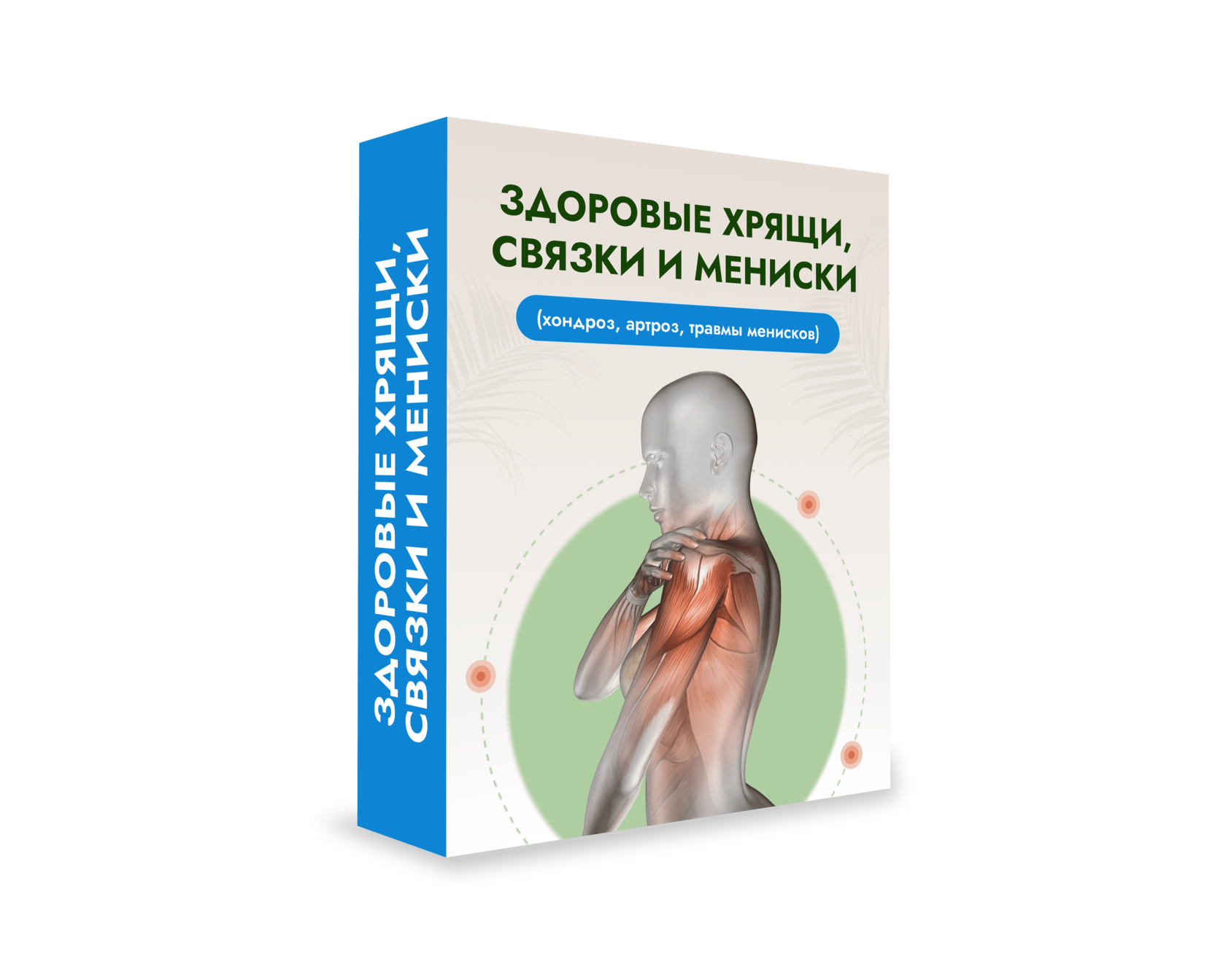 Здоровые суставы и позвоночник. Тарифы 1.0 (Запись)