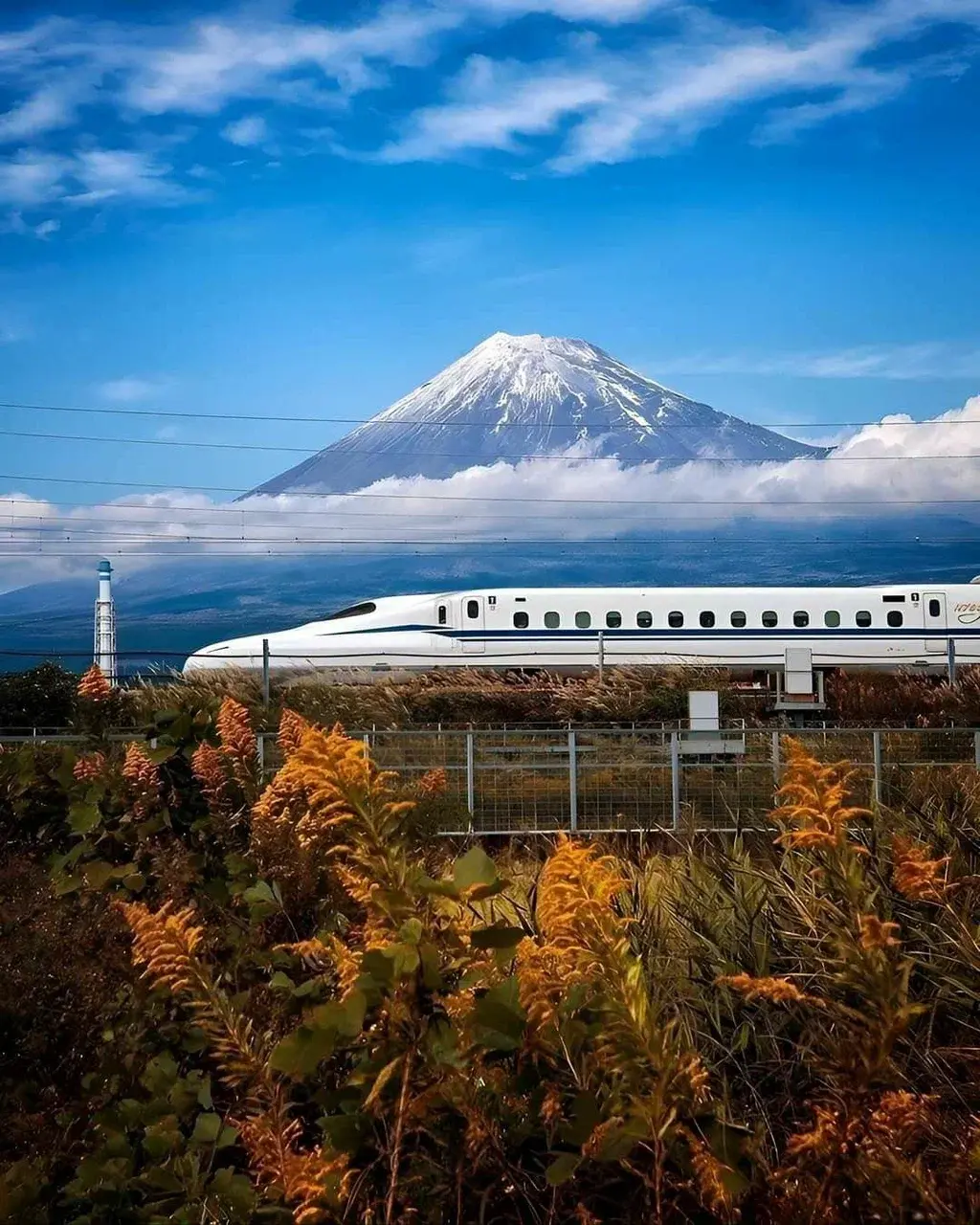 Скоростные поезда Shinkansen Green Car