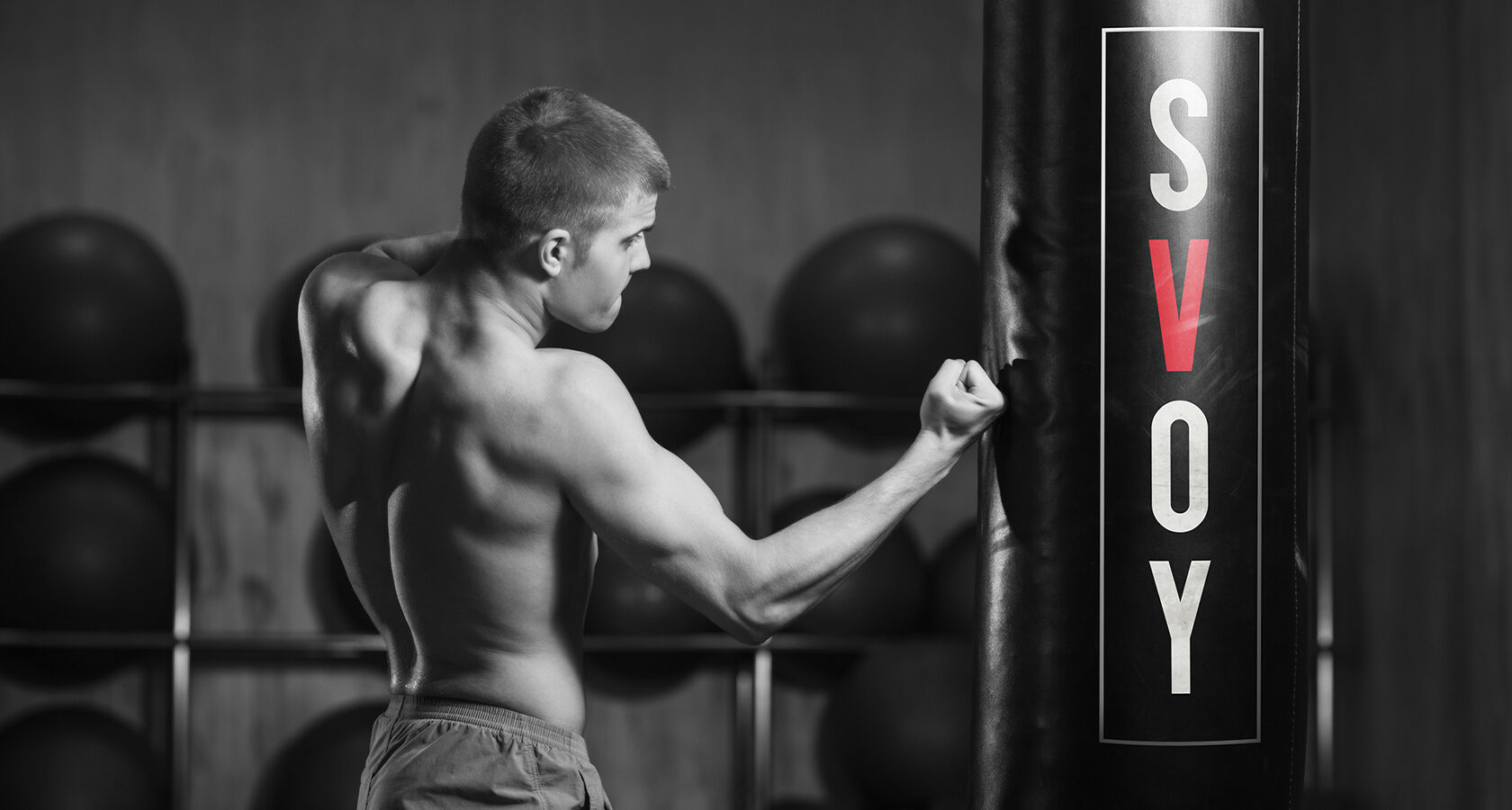 SVOY Fitness & SPA – материал проекта