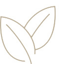 Cedral экологичность