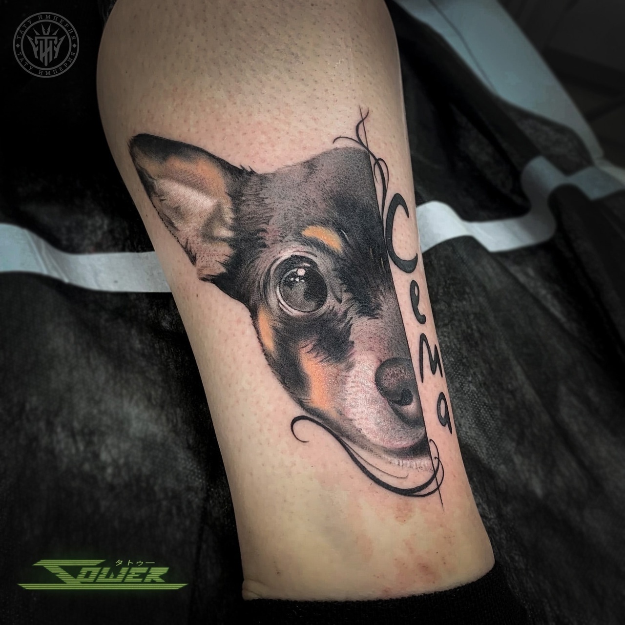 Тату-салон Pitbull Tattoo / сделать тату в салоне Екатеринбург / Каталог тату-салонов и мастеров