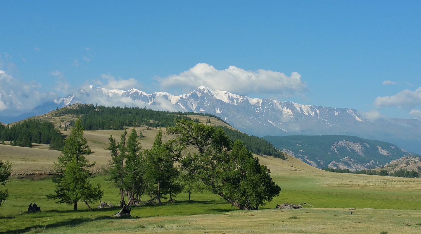 Алтай в августе. Алтай в августе отзывы