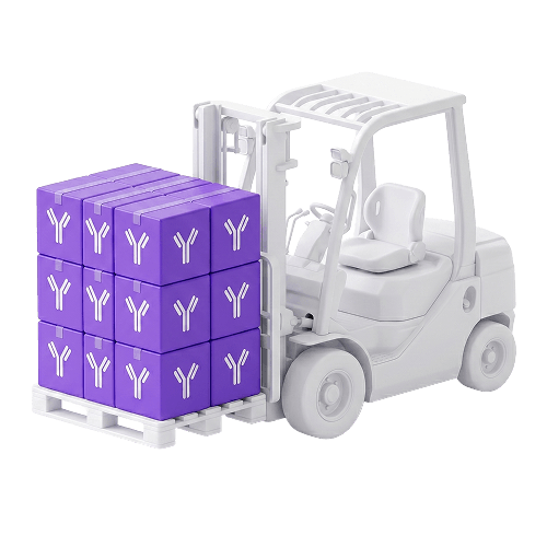 Reduced Packaging and Shipping