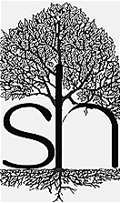 MS 