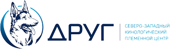 Центр Друг