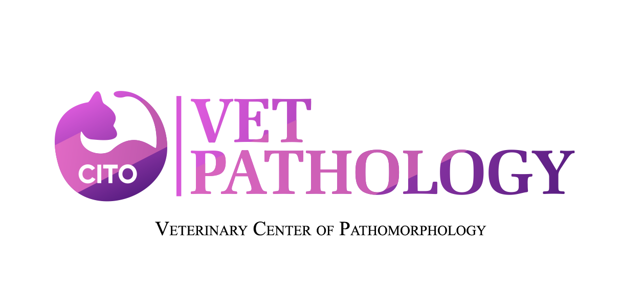 VetPathologyCito