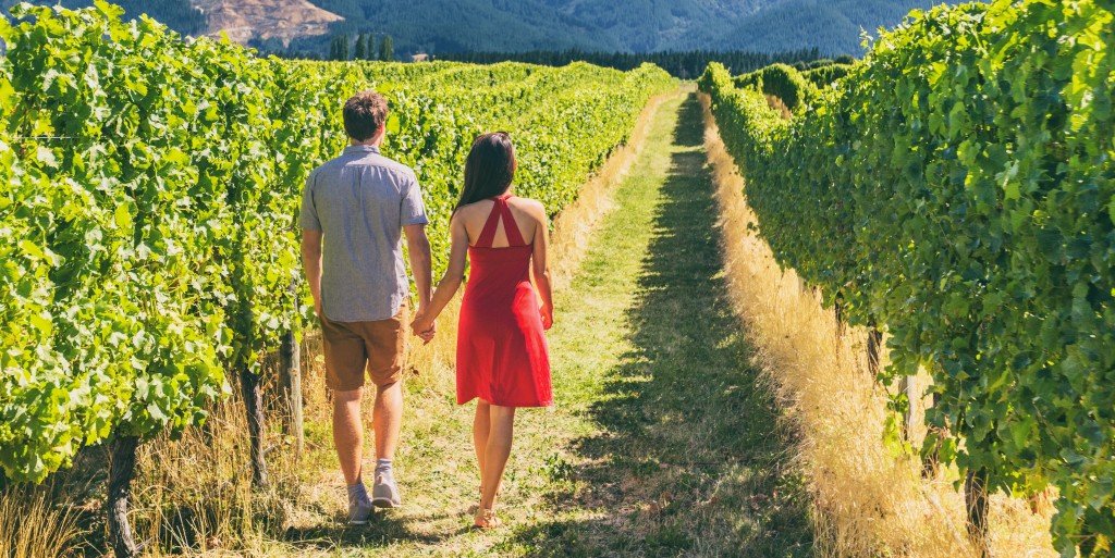 Wine tour to the best wineries near Barcelona | Casamiga Events