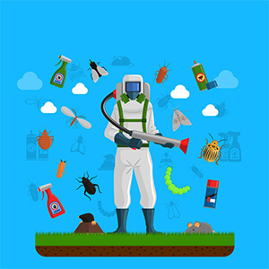 Услуги которые оказывает СЭС Казани