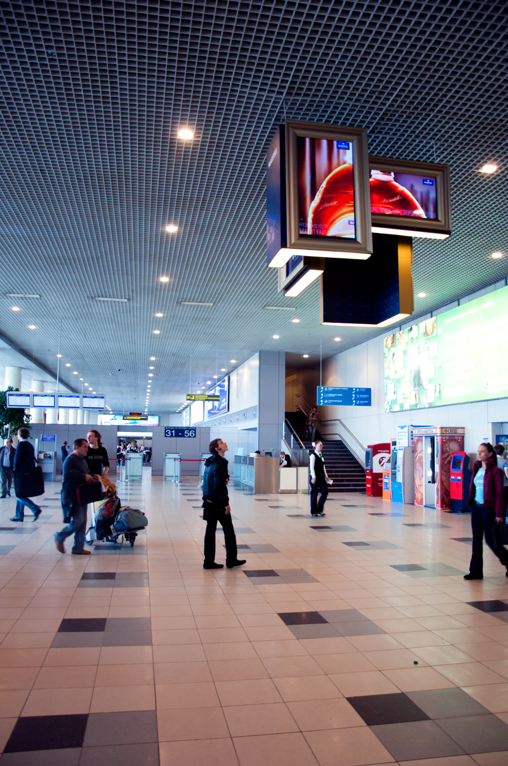 Аэропорт Домодедово открыл перед посетителями шикарную коллекцию картин