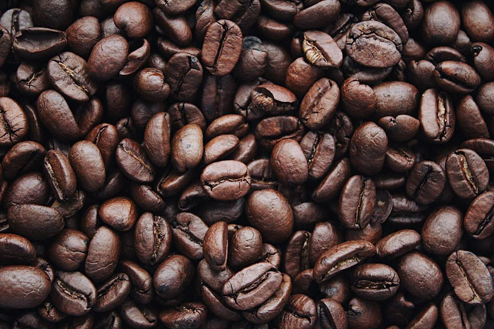 Coffee Beans Arabica