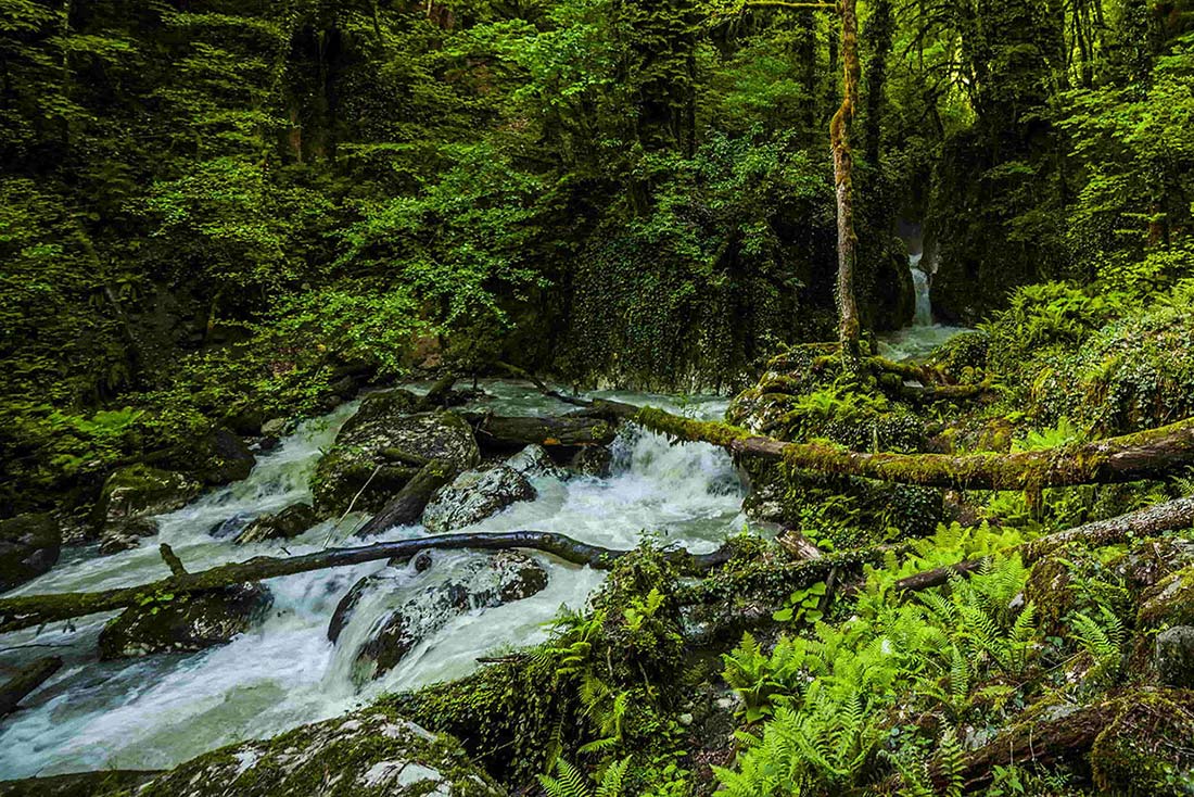 Походы в горы Абхазии, Пшица, Гумистинский заповедник