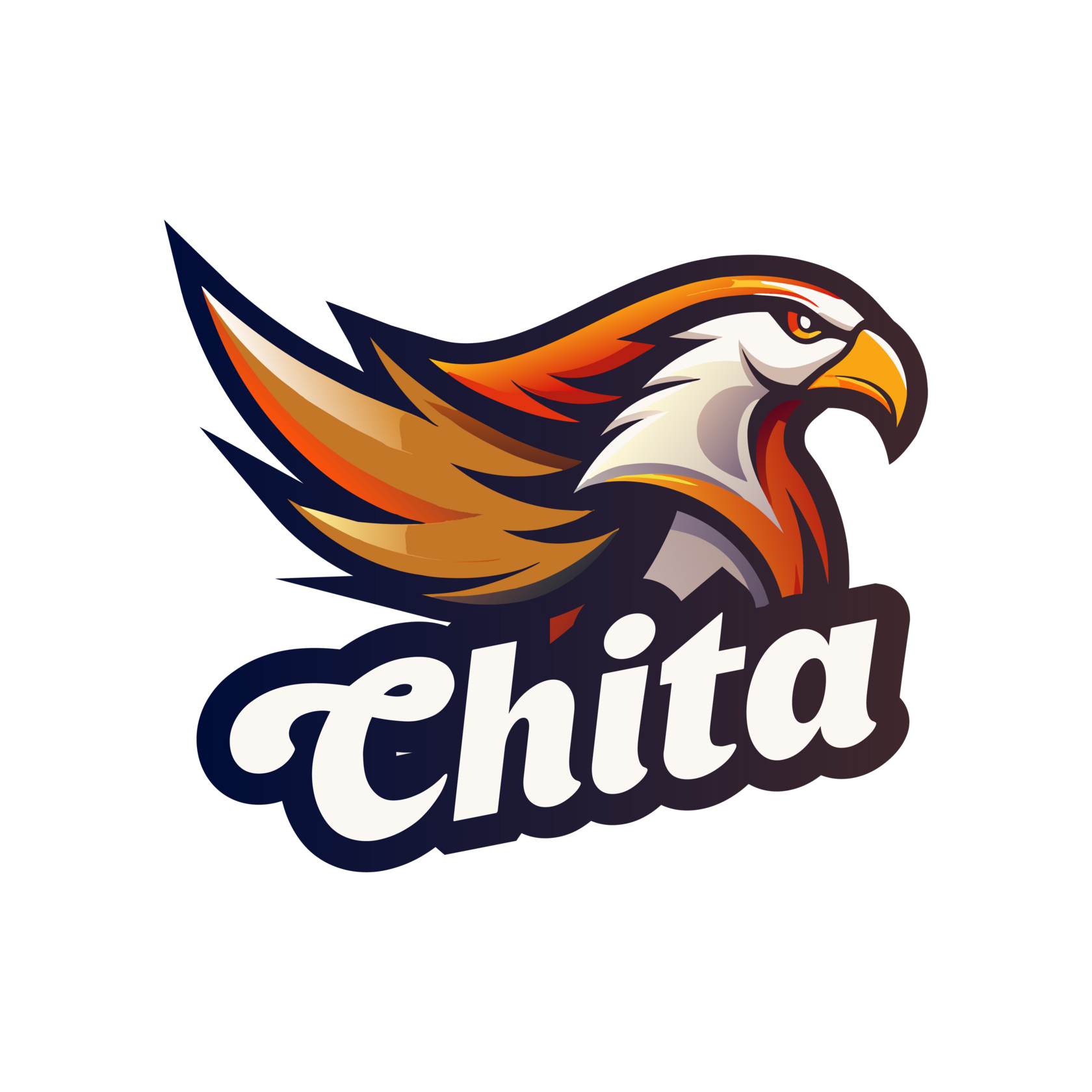 Команда Чита