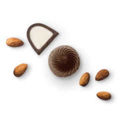 Кондитерская Фабрика «SHOKOLAT’E» - производитель конфет, шоколада и сырья