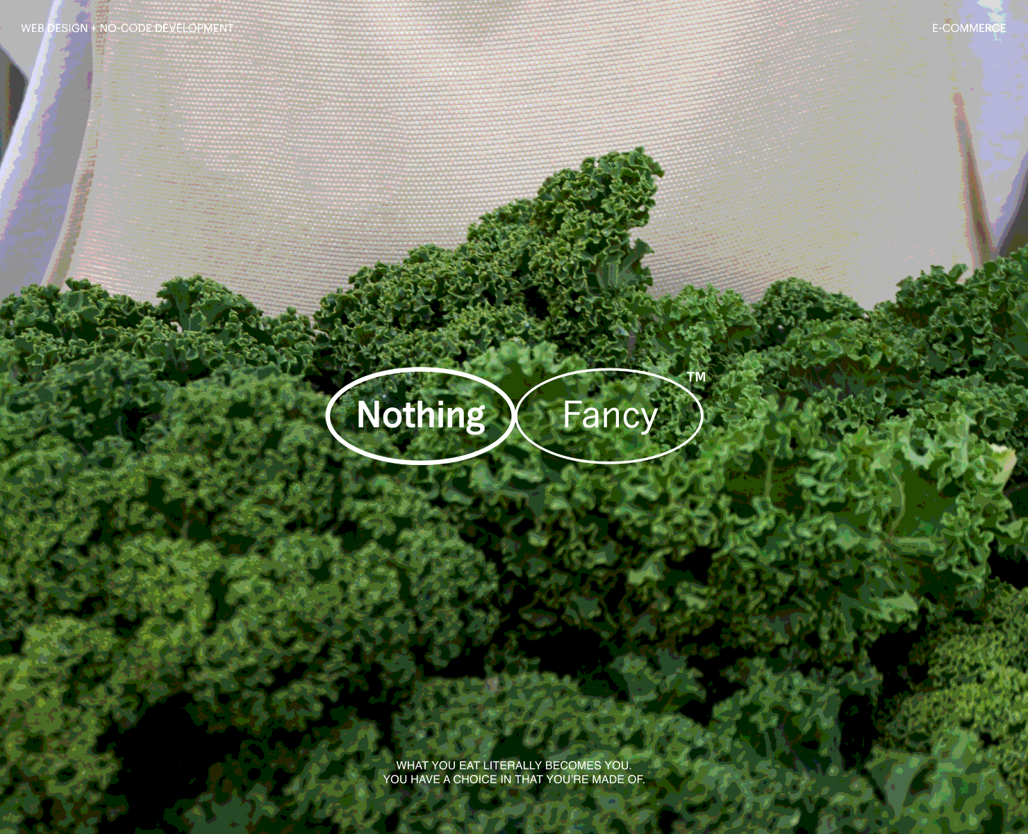 Reown Agency — Brand Systems