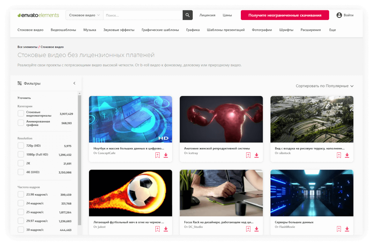 Бесплатные видеостоки и платные: ТОП 40 лучших стоков, где скачать видео  для сайта, футажи, видеофоны, вертикальные видео для рилс и сторис